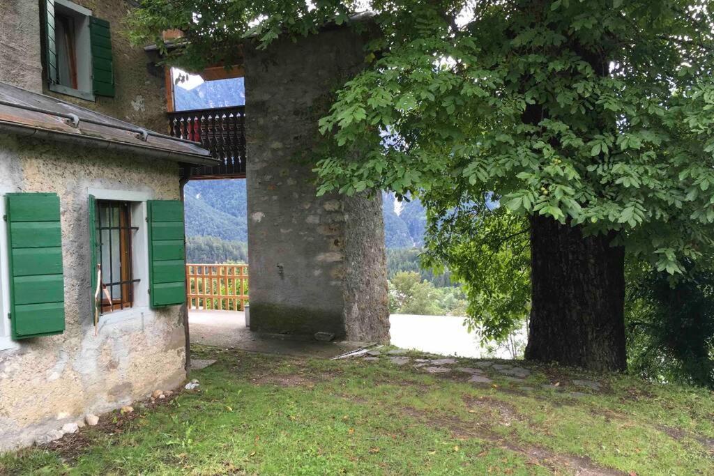 La Casa Del Noce, Immersa Nel Verde Delle Dolomiti 皮耶韦迪卡多雷 外观 照片